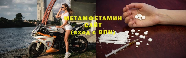 прущие грибы Михайловск