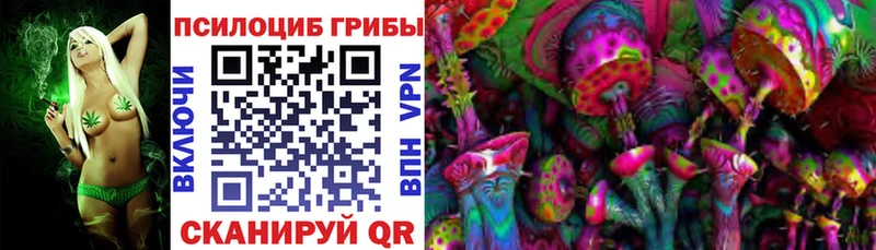 кракен ССЫЛКА  купить   Саранск  Псилоцибиновые грибы Psilocybe 