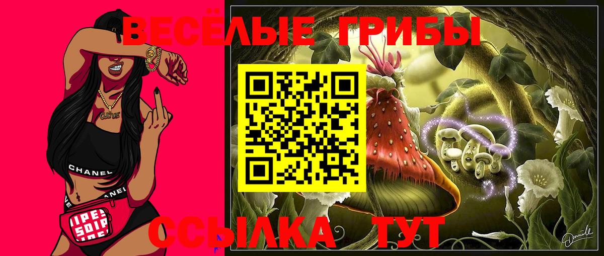 Псилоцибиновые грибы Cubensis  Вход с VPN  Галлюциногенные грибы Magic Shrooms  Саранск 