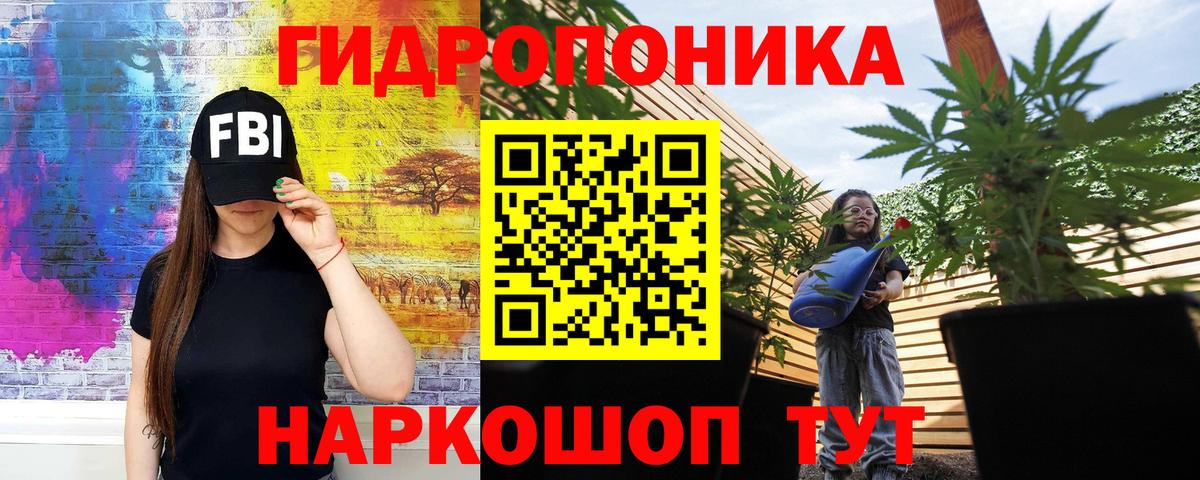 Бошки марихуана сатива Саранск